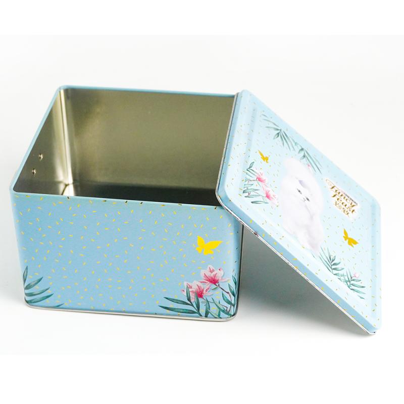 Large CapacityTin Box With Buckle